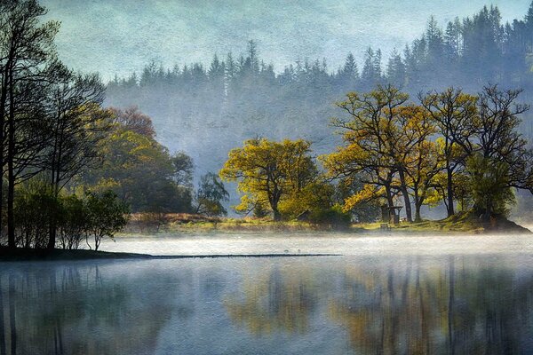 Landscape lake with trees reflected in it