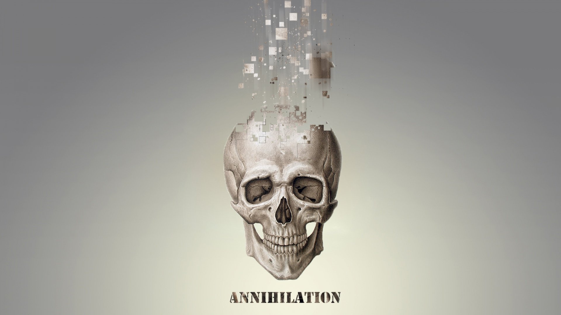 annihilation skull pixels the particles grey