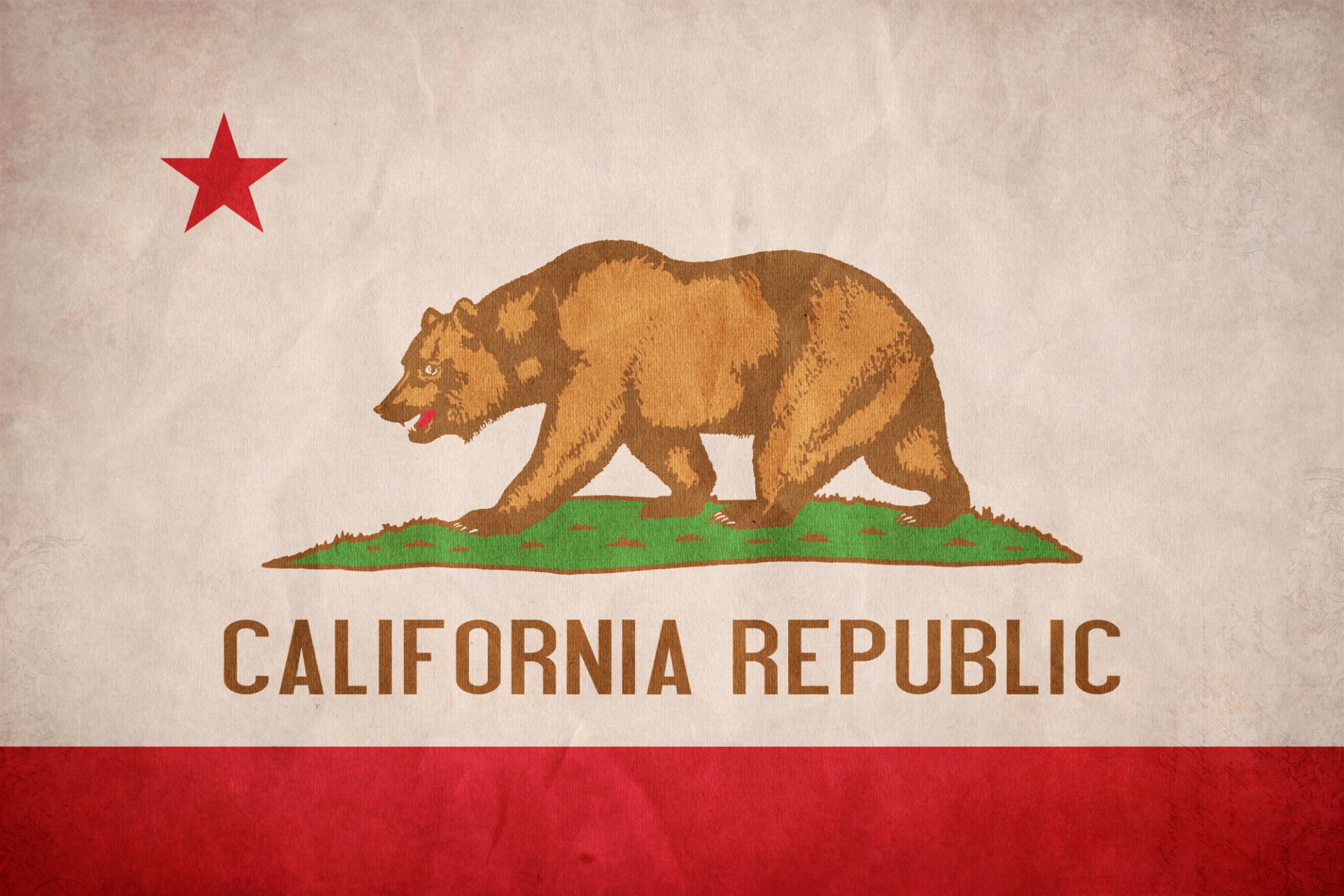 california bandera textura