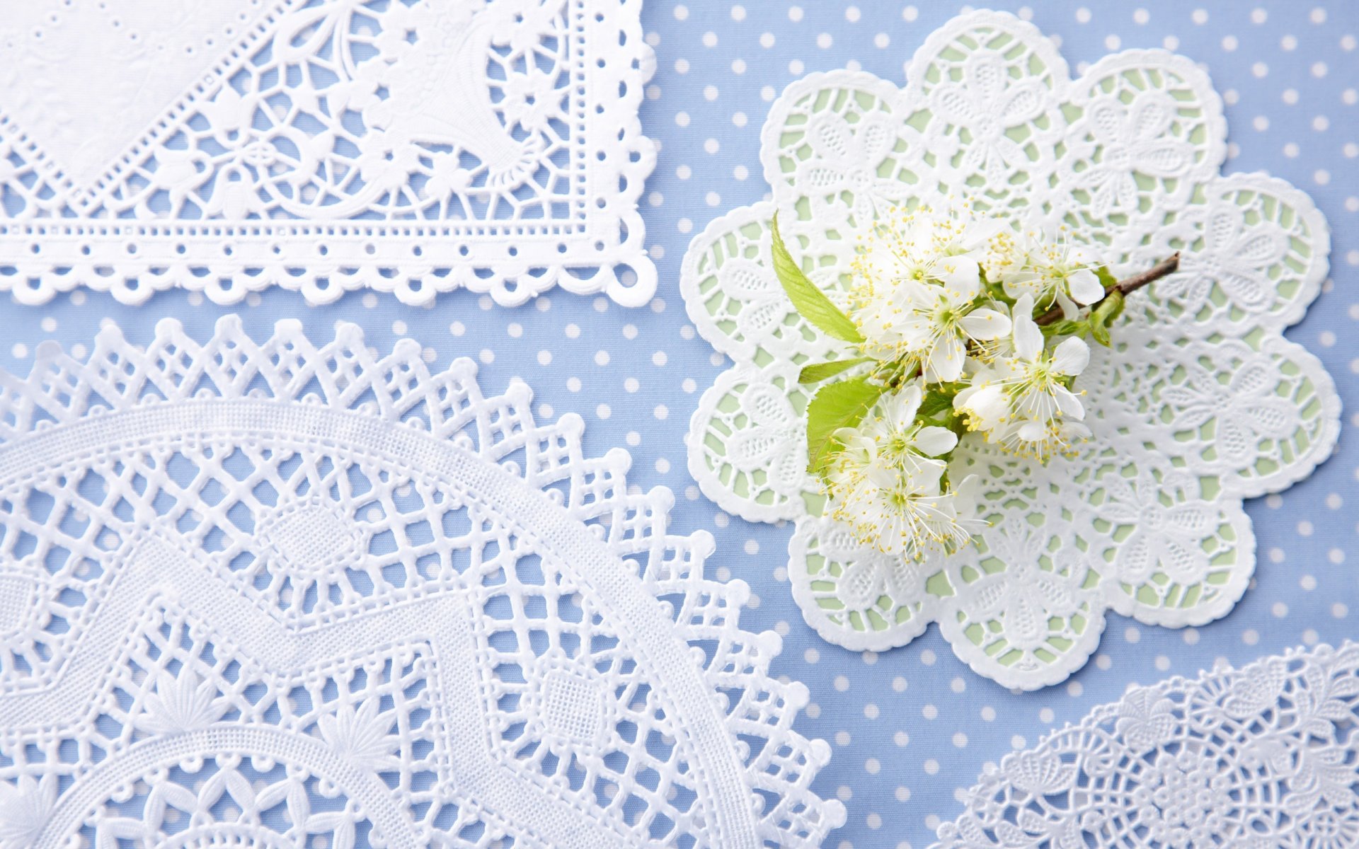 lace wipes flower branch fishnet polka dot