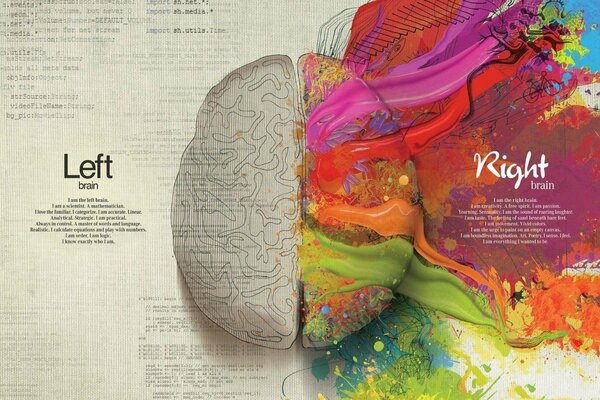 Kreatywny obraz ludzkich półkul mózgowych