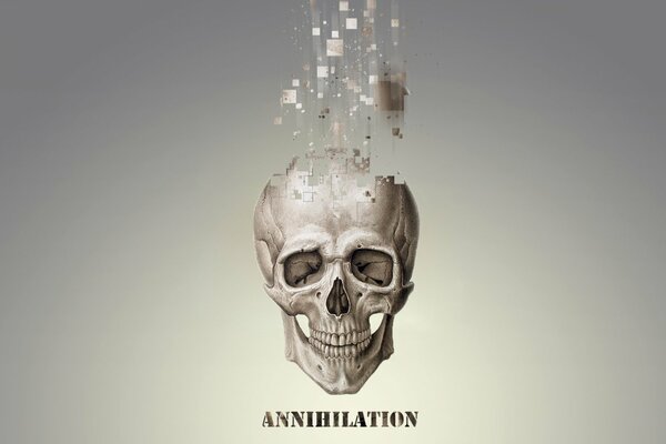 Pixel annihilation of the human skull