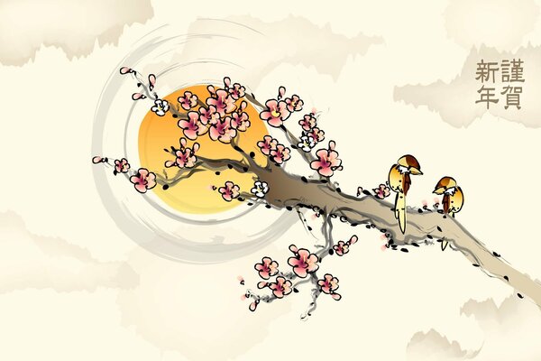Sakura Zweig, Frühling, Vögel, Sonne