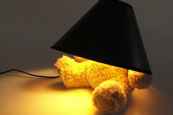 Lampe cachée par ours