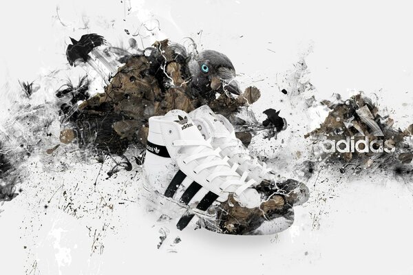 Adidas Sneakers auf weißem Hintergrund