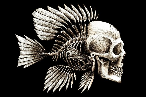 Scheletro di pesce con cranio umano