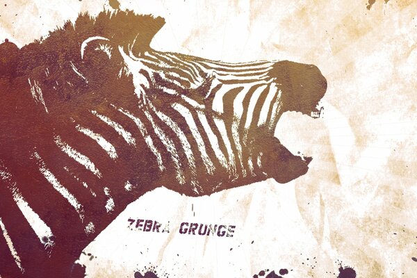 Zebra gradient graffiti on paper