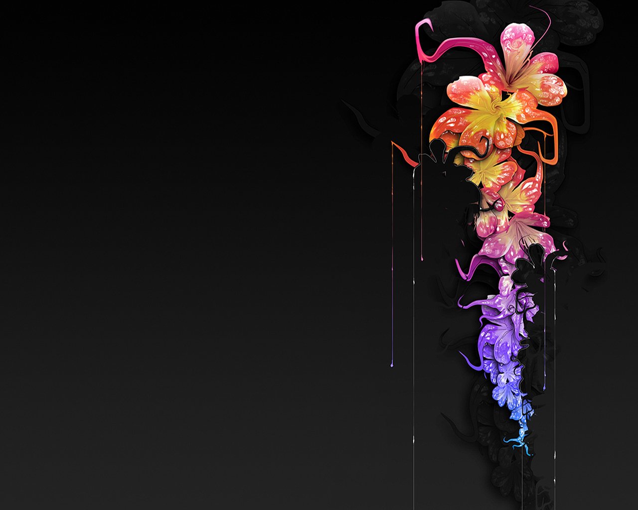 black background flower paint drop