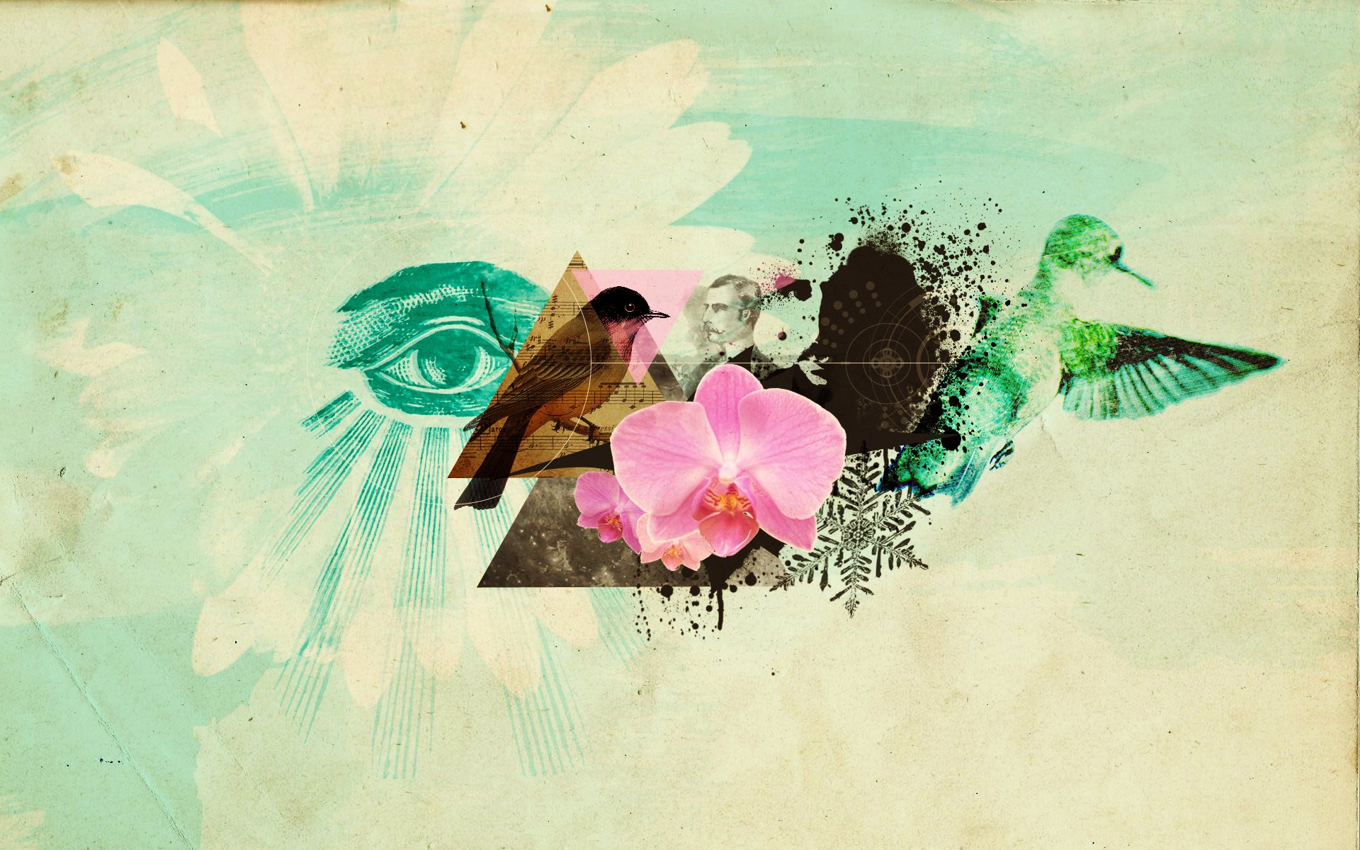 abstract collage eye flower bird