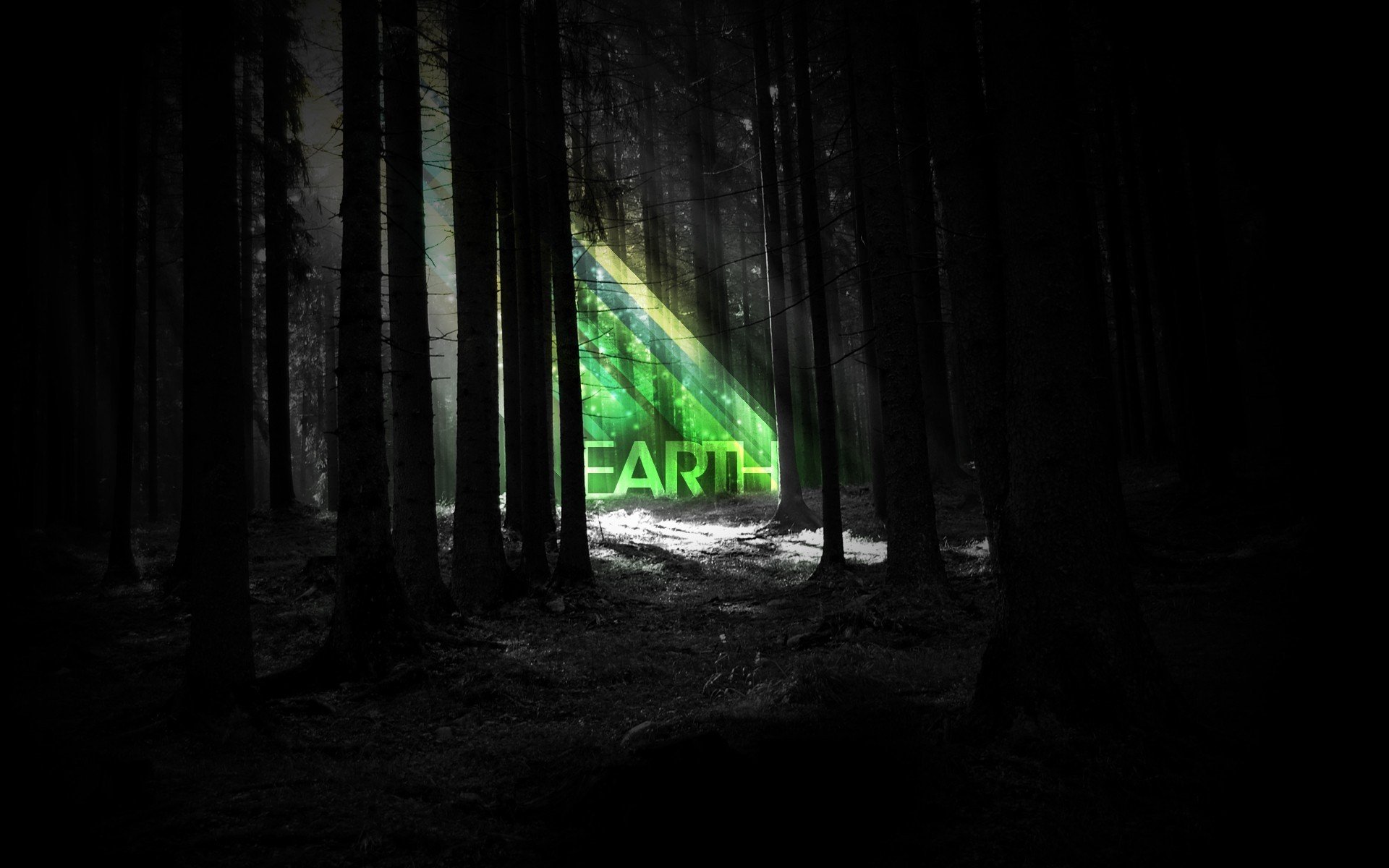 forest earth night stripe