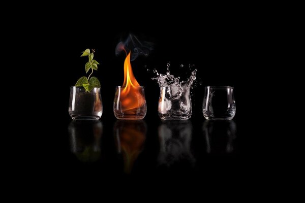 Земля, растения, огонь, вода, воздух, необходимость к жизни в одном стакане