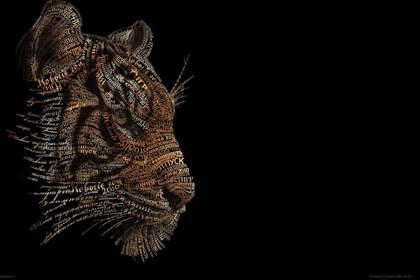 Photo of a tiger on a black background