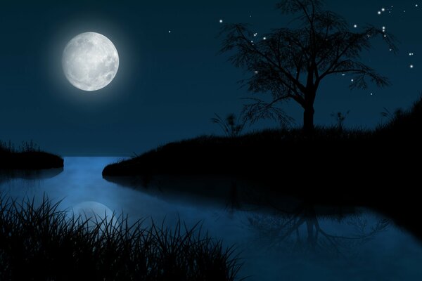 Night landscape with moon and stars