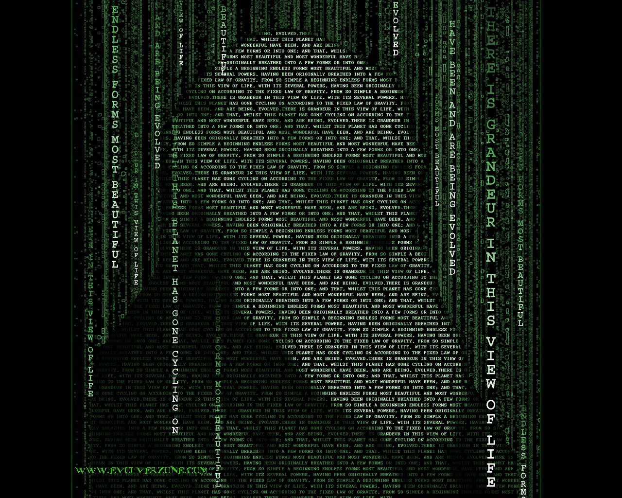 darwin matrix typografie