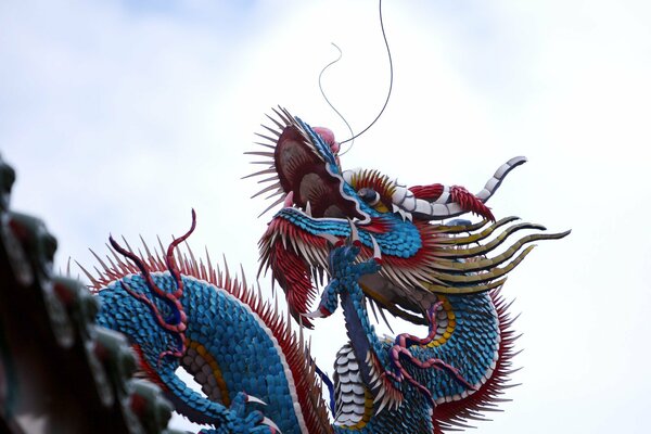 Blue Chinese dragon on the sky background