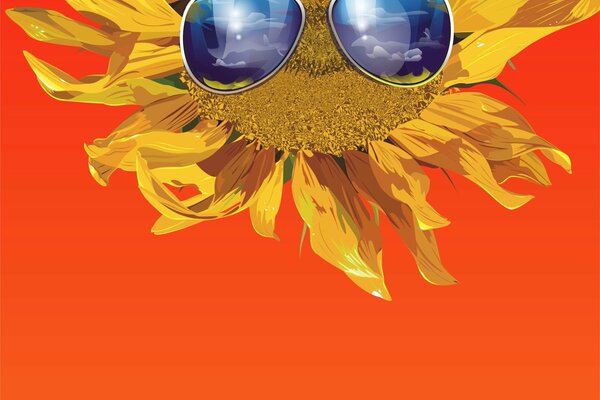 Girasol naranja brillante en gafas salvajes