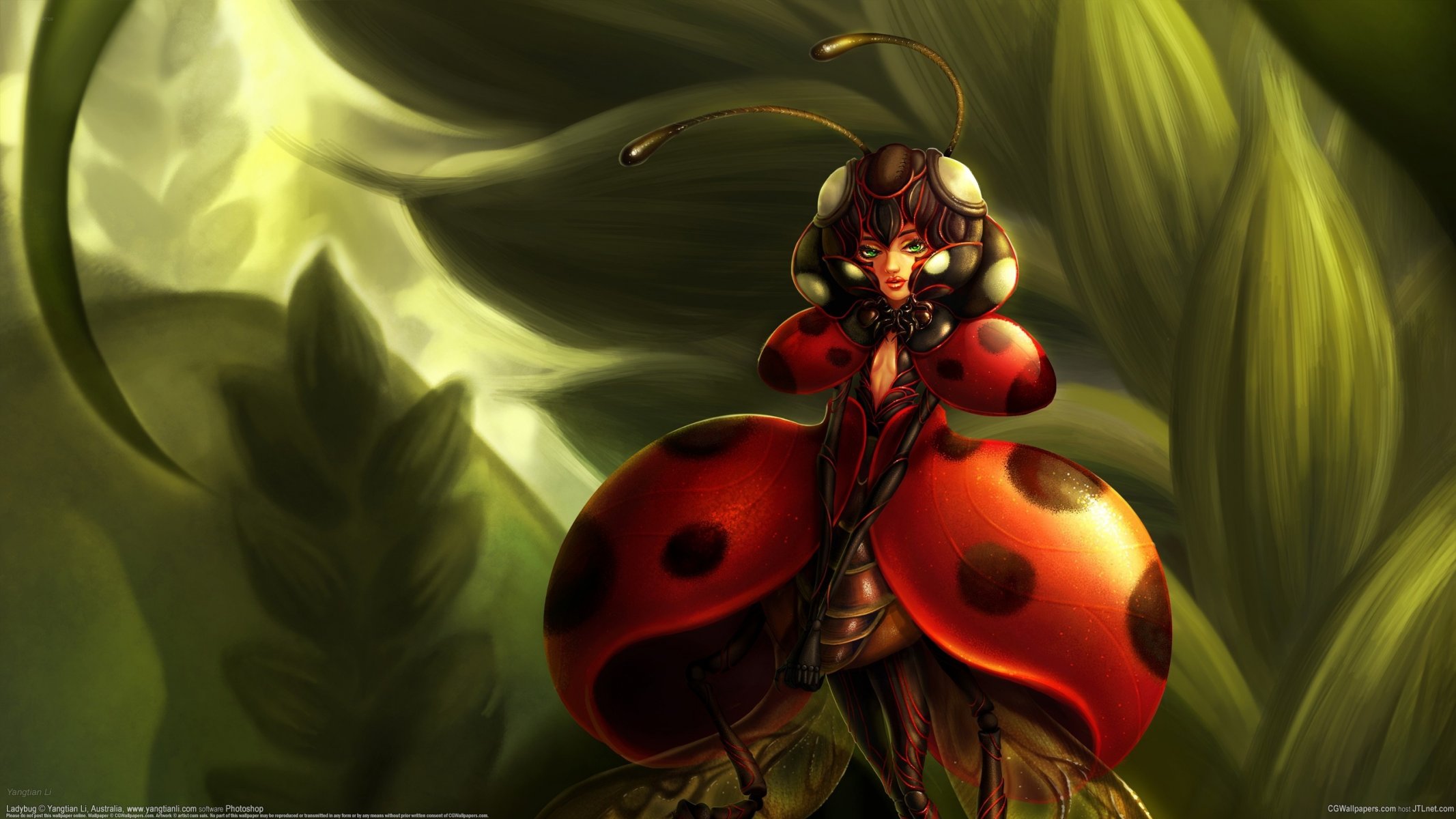 yangtian li ladybug insect being