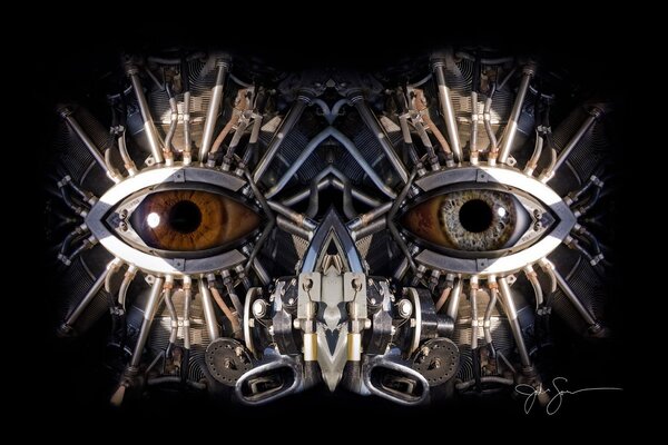 Robot mechanism brown eyes gray eyes