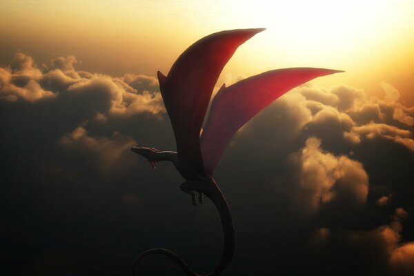 A dragon flies in the sky against the background of sunset