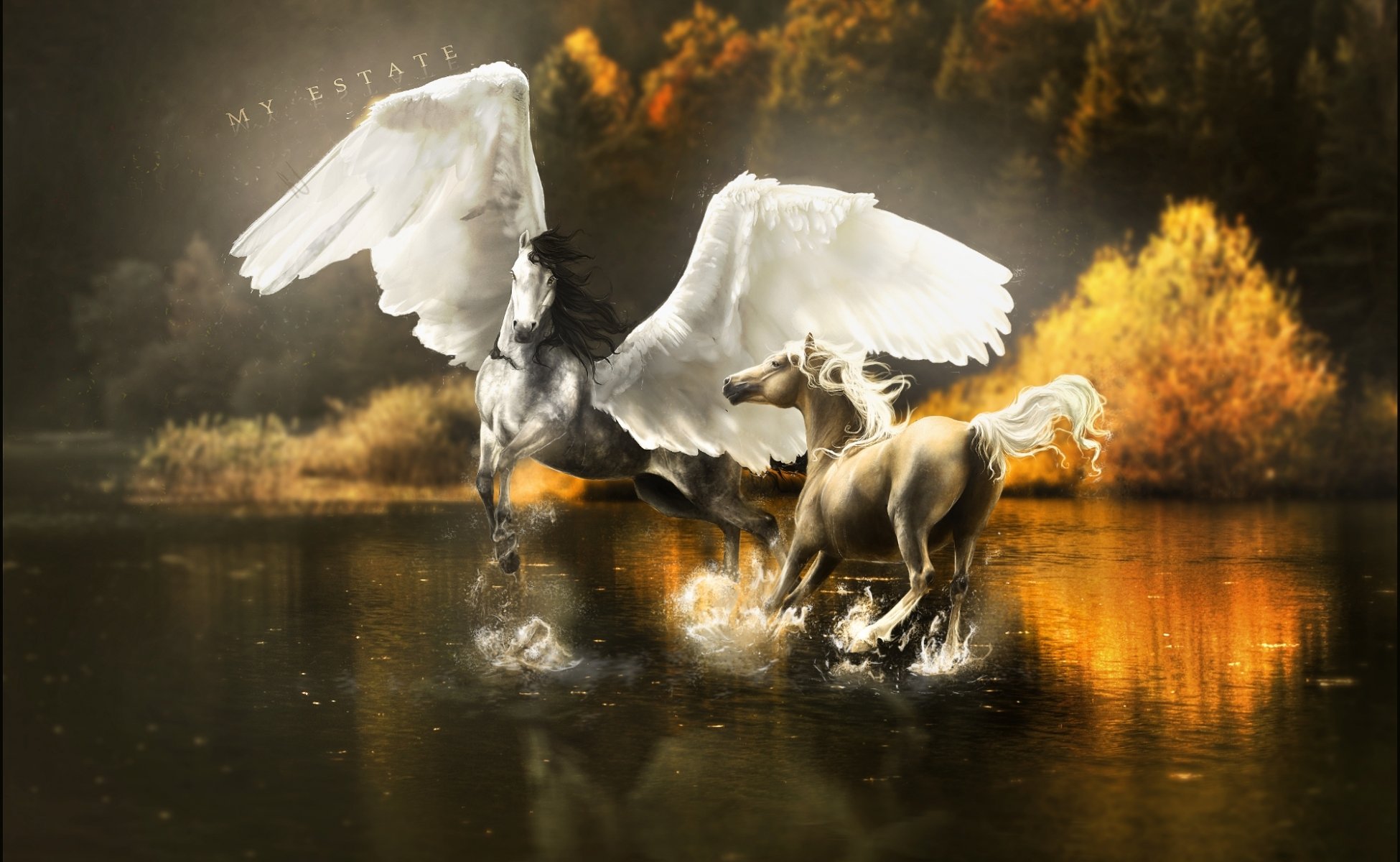 science-fiction chevaux art pegasus ailes eau éclaboussures réflexion arbres