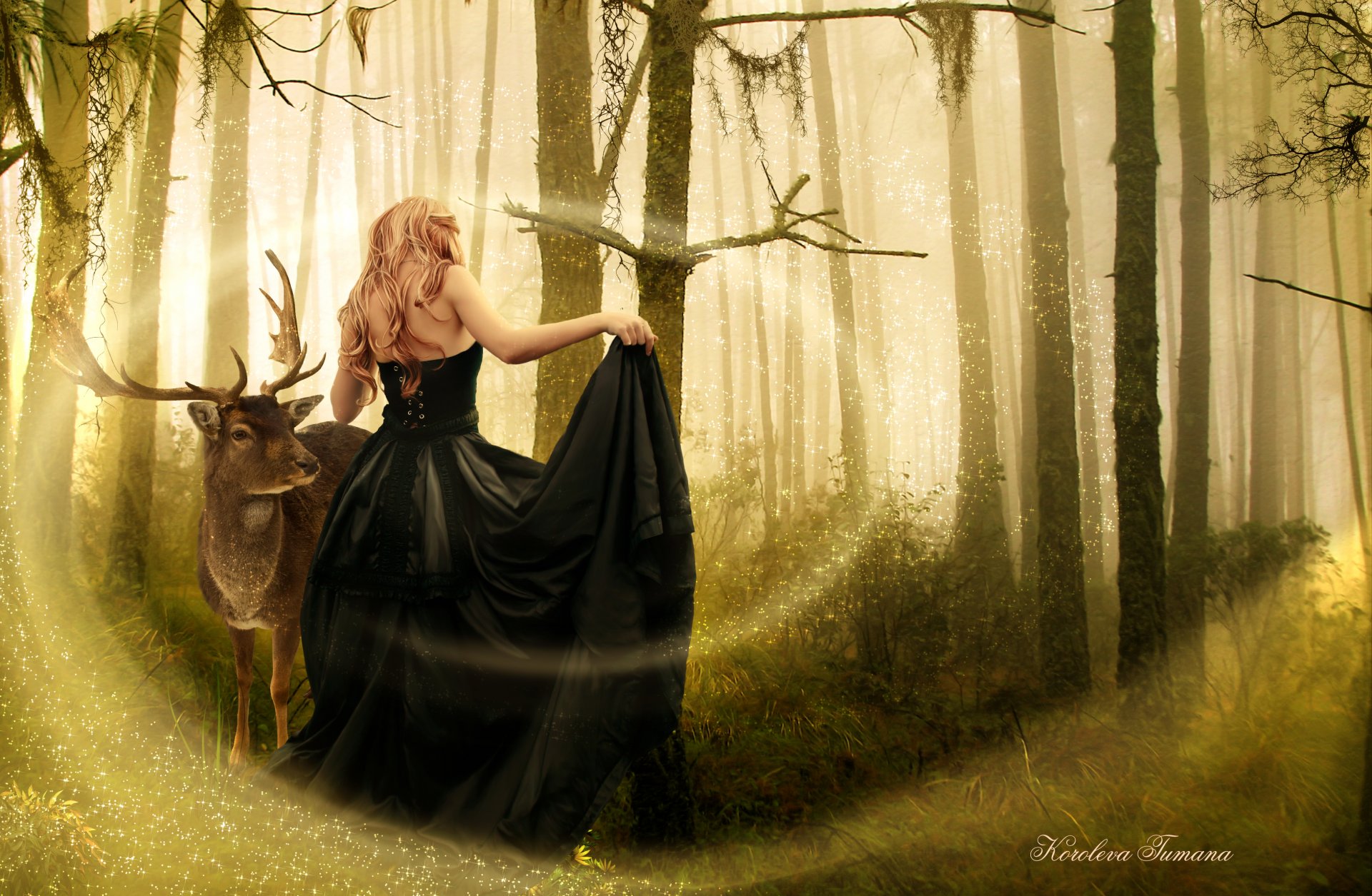 arte ragazza indietro vestito nero animale magia foresta alberi