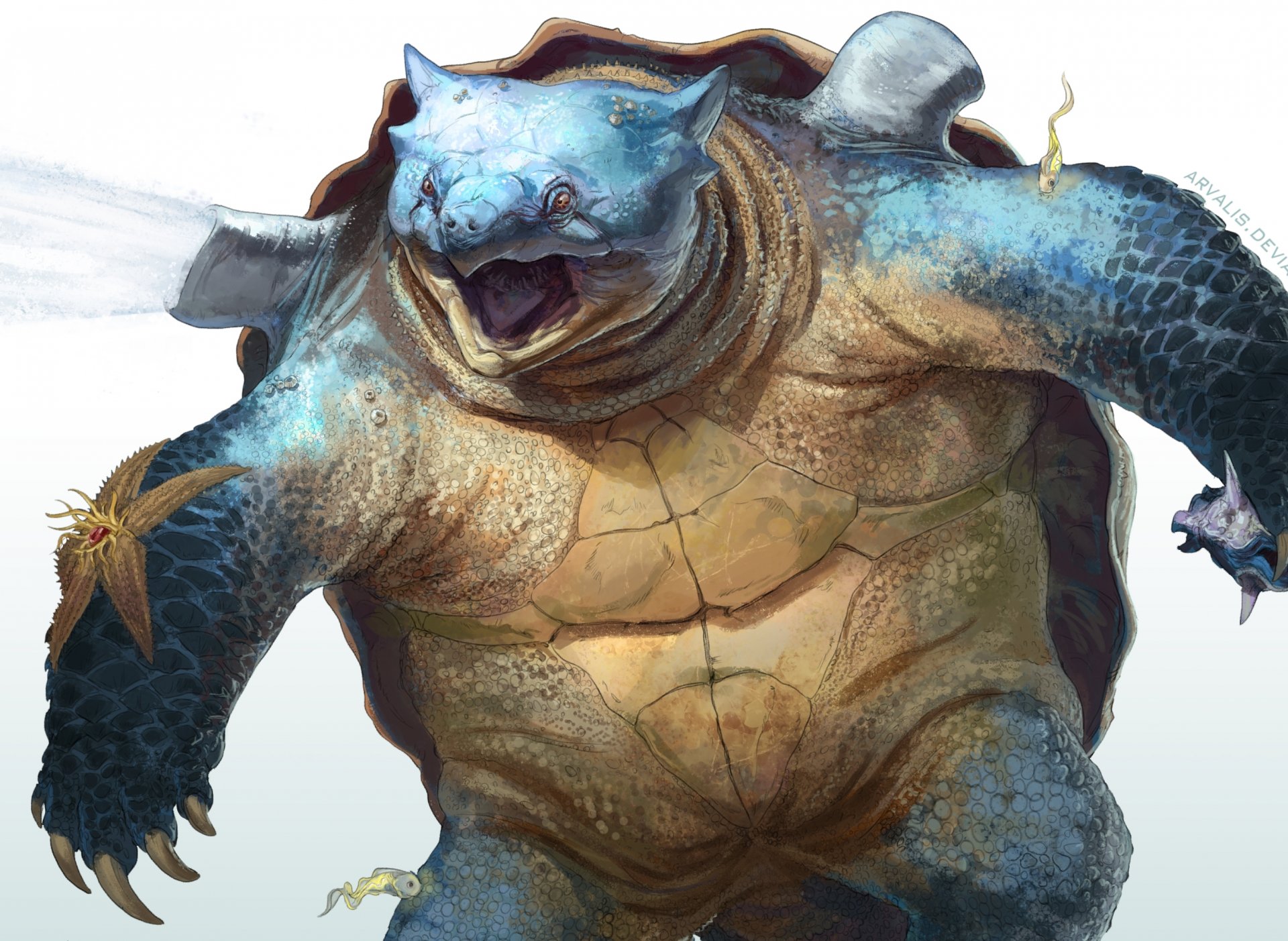 blastoise pokemon marine carapace tortue