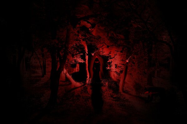 Silhouette dans la forêt de nuit sur fond rouge