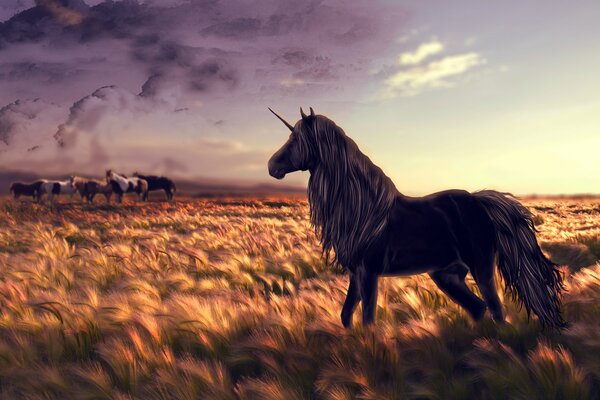 Ein Einhorn mit langer Mähne steht abends auf dem Feld