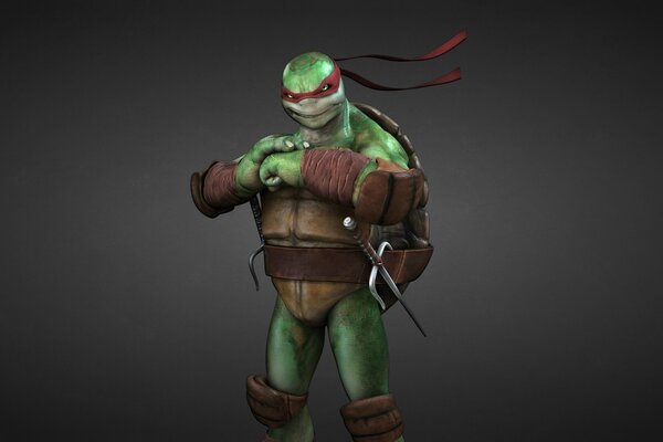 One of the ninja turtles in a fighting pose