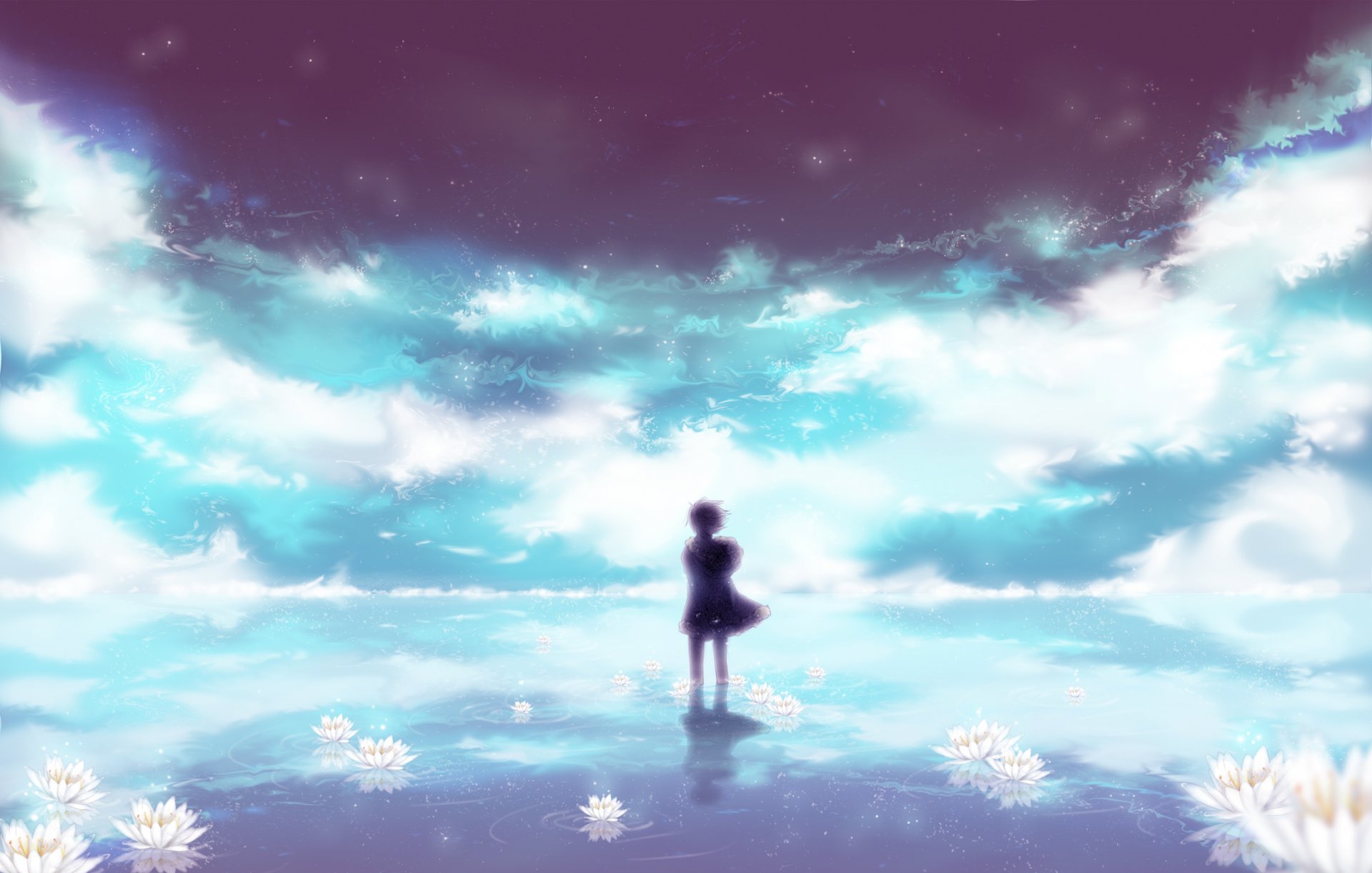 arte uyre durarara izaya orihara anime chico cielo nubes viento flores lirios sombra reflexión estrellas agua