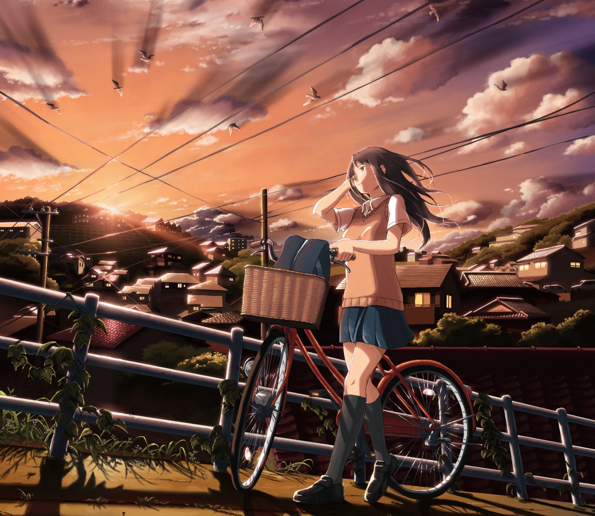 kunst inoki mädchen schulmädchen fahrrad stadt häuser sonnenuntergang himmel wolken vögel anime