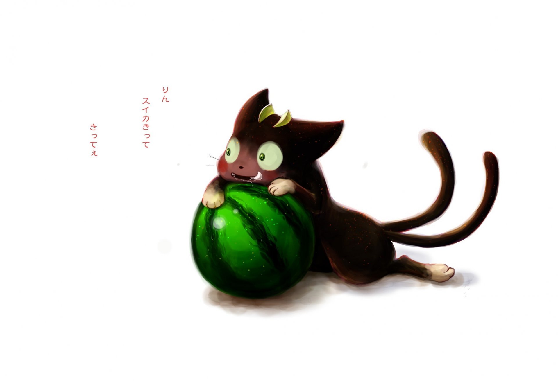 art anime ao no exorcist blue exorcist kuro cat watermelon