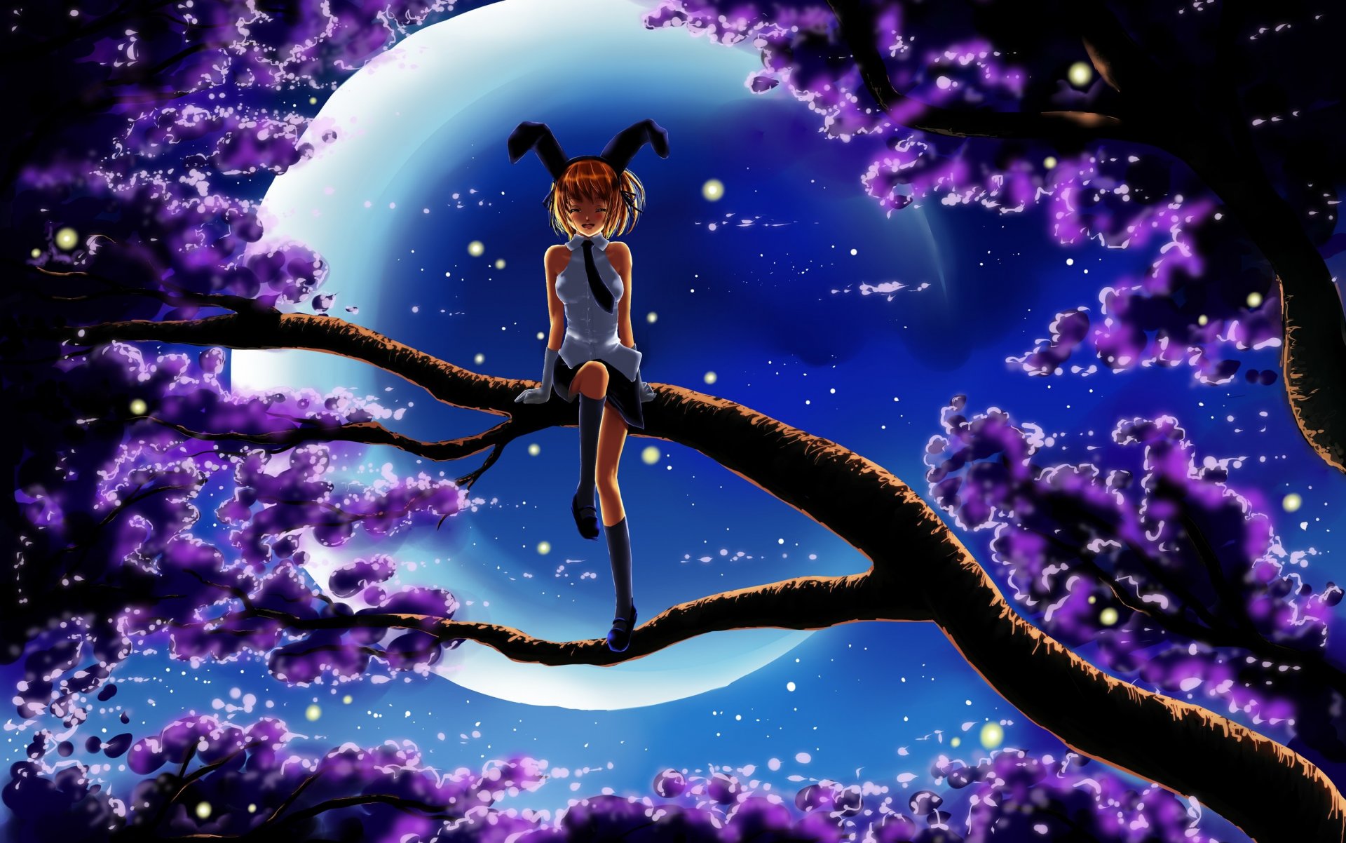 arte notte luna ragazza albero seduto rami fiori lucciole orecchie neko forma risate emozioni