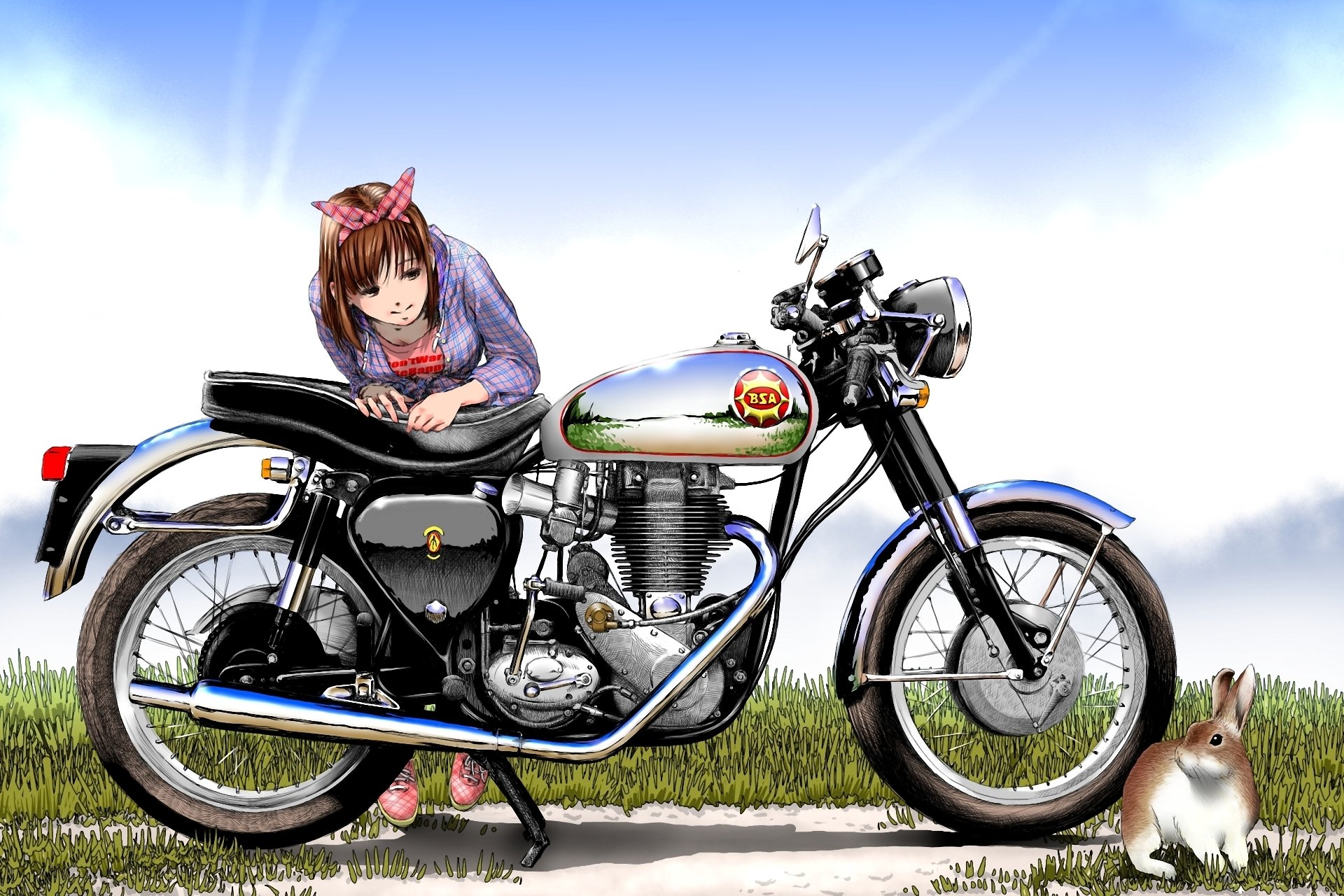 sco disegno arte ragazza moto lepre