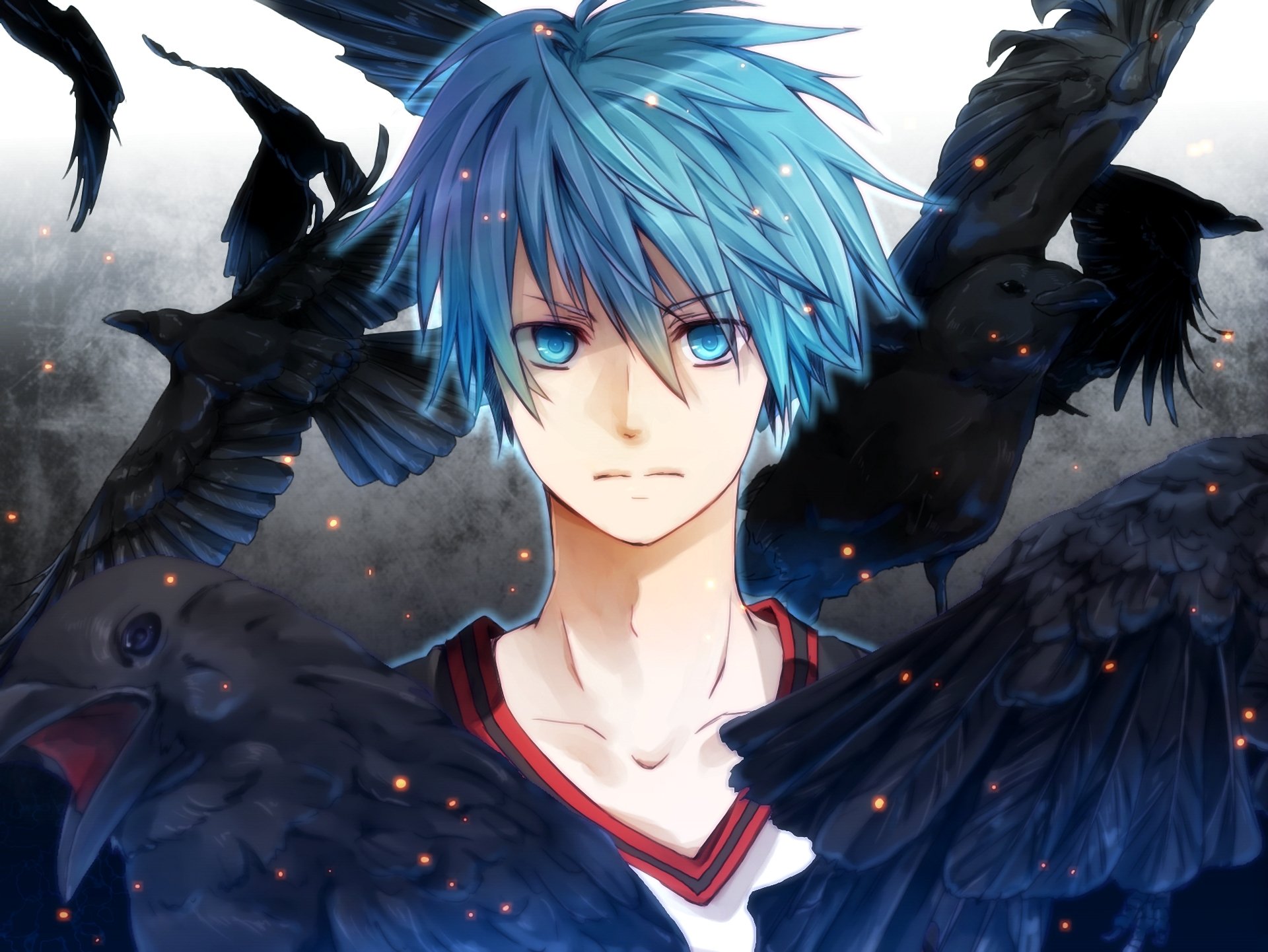 arte mochitachio kuroko no basket kuroko tetsuya ragazzo uccelli corvi