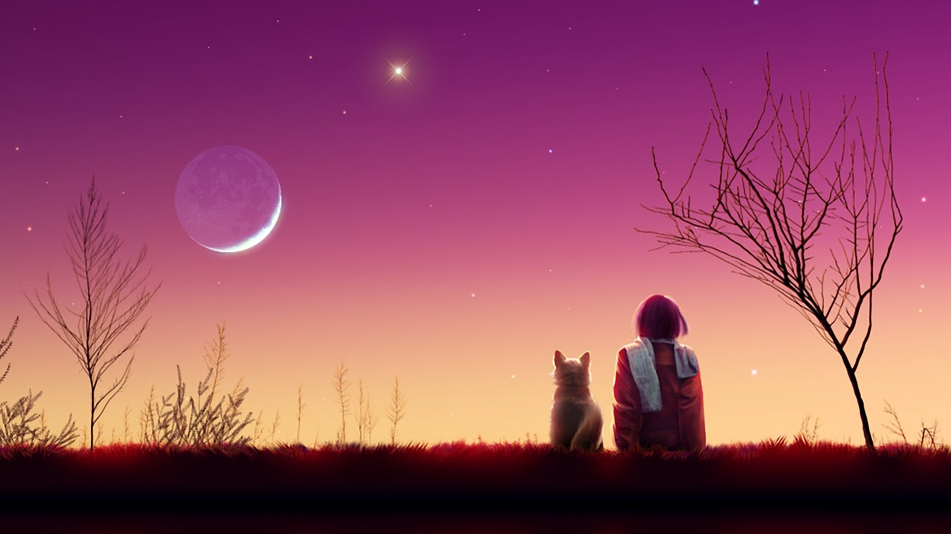 arte ragazza gatto paesaggio sera tramonto stelle luna alberi sciarpa