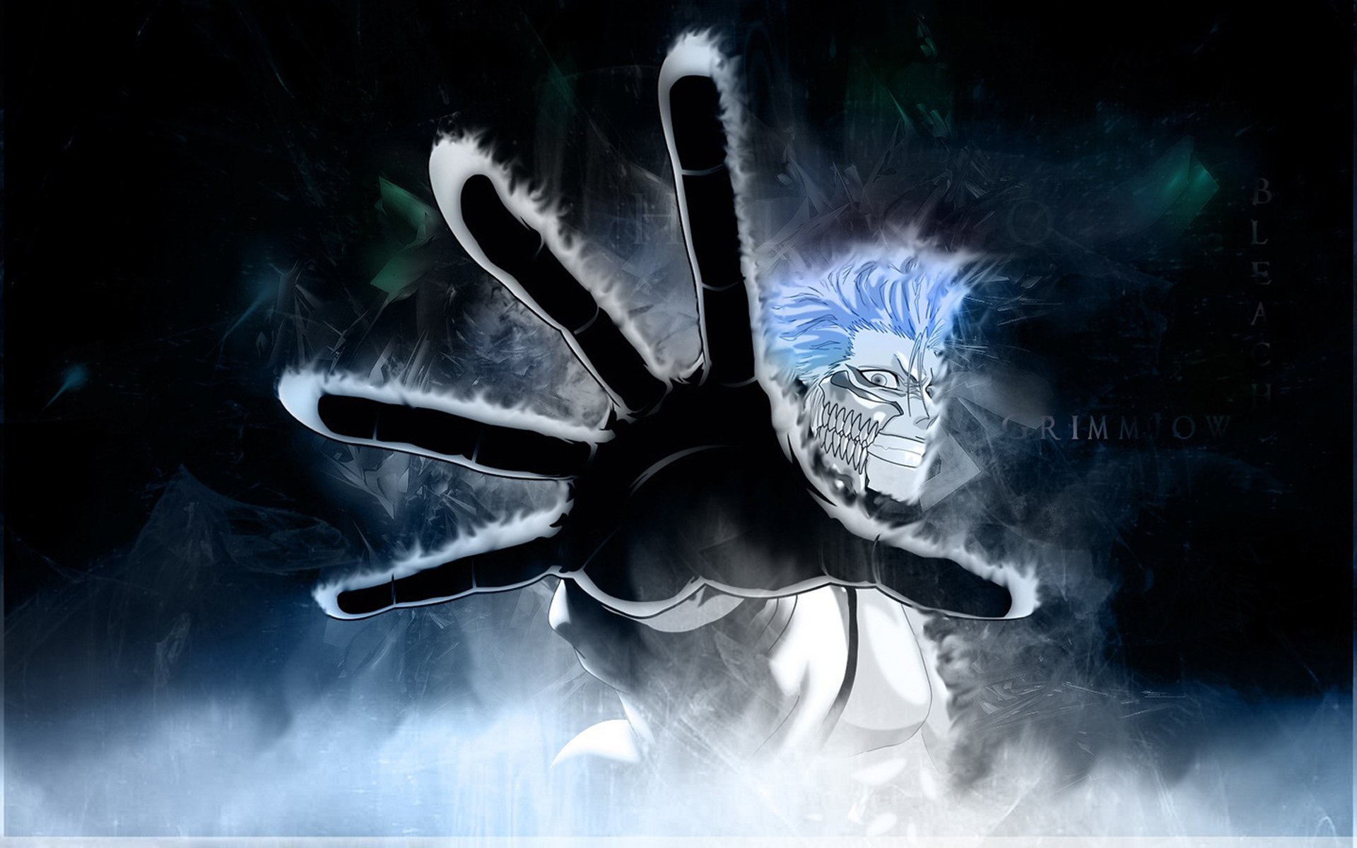 candeggina candeggina grimmjow