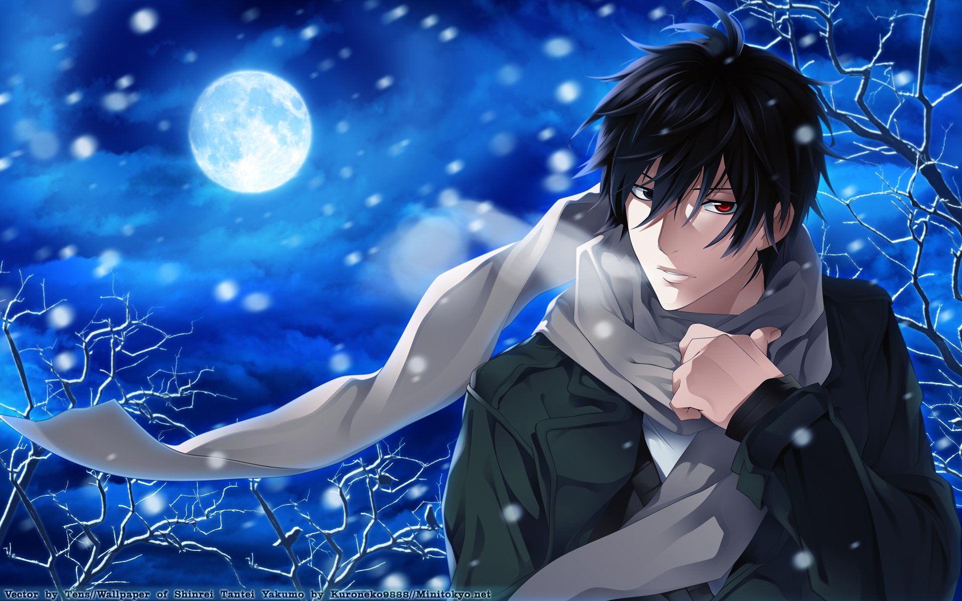 anime psychic detective yakumo kerl schal nacht schnee mond