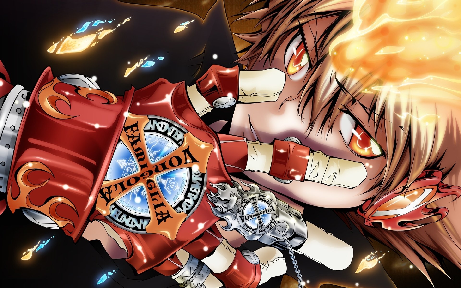 anime katekyo hitman reborn reborn-mafia-lehrer savada tsunayoshi sawada tsunayoshi der zehnte chef von wongola der hüter des wongola-himmelsrings