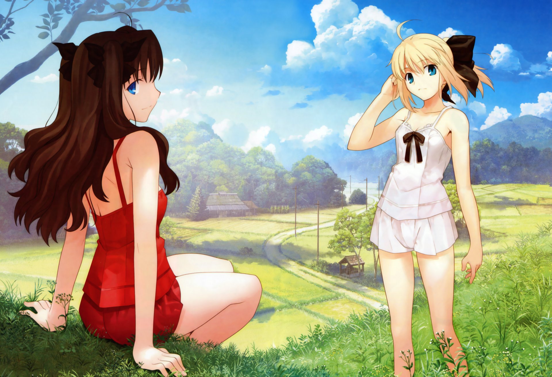 fate stay night saber lily tohsaka rin girls landscape hills road house