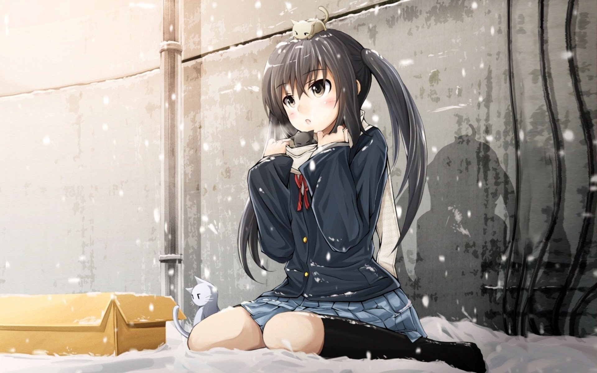 k-on nakano azusa niña gatos invierno nieve forma caja