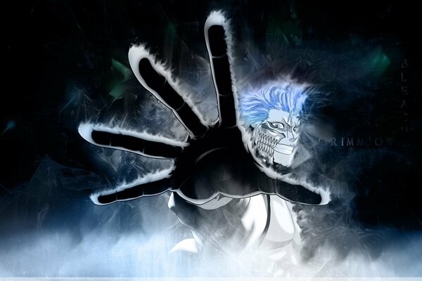 Bleach eau de Javel, grimmjow avec la main