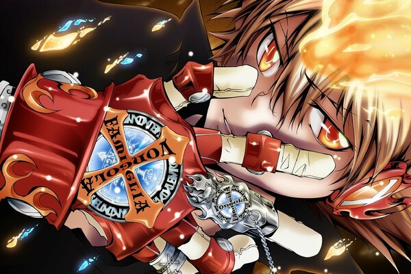 Anime, Guardiano dell anello del cielo di vongola