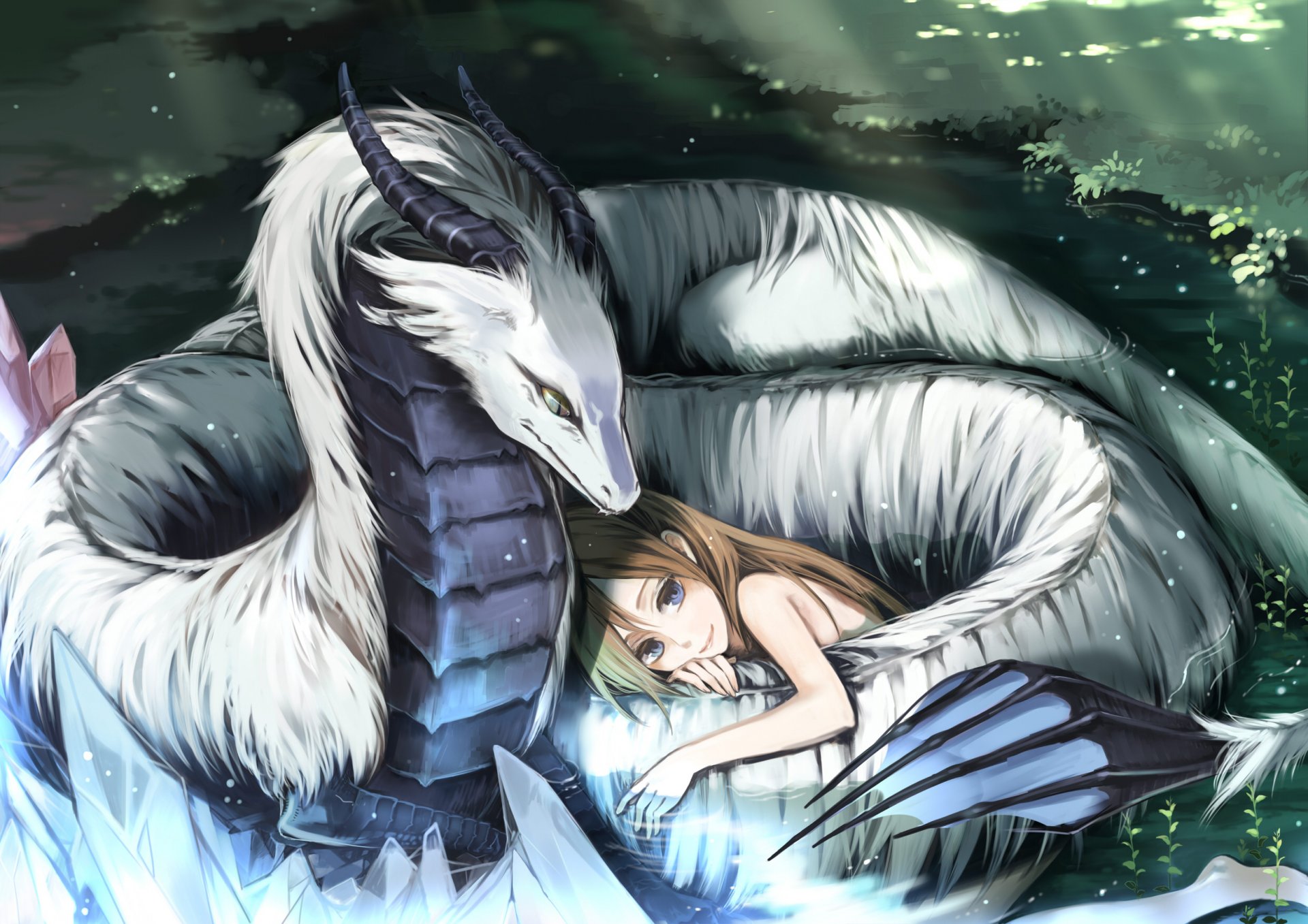 dragon love nice white dragon girl love protection