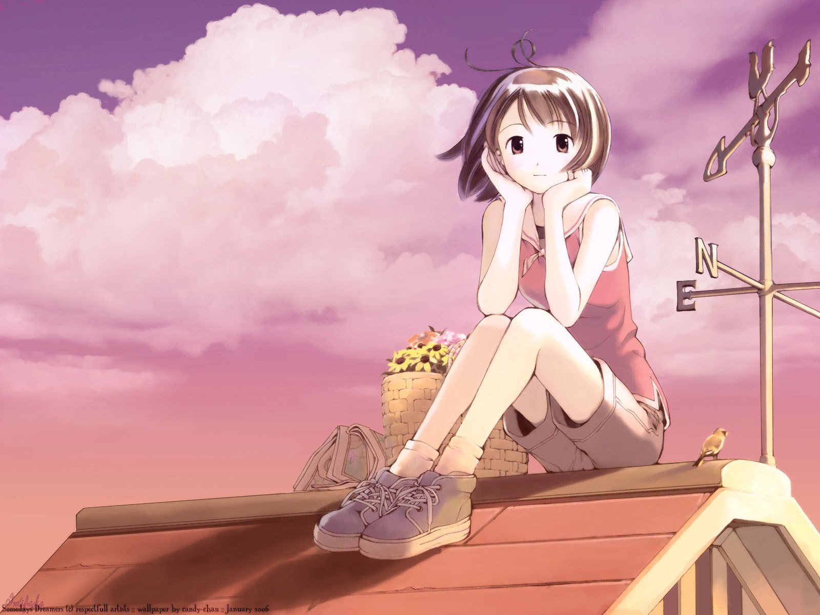 anime girl roof basket flower