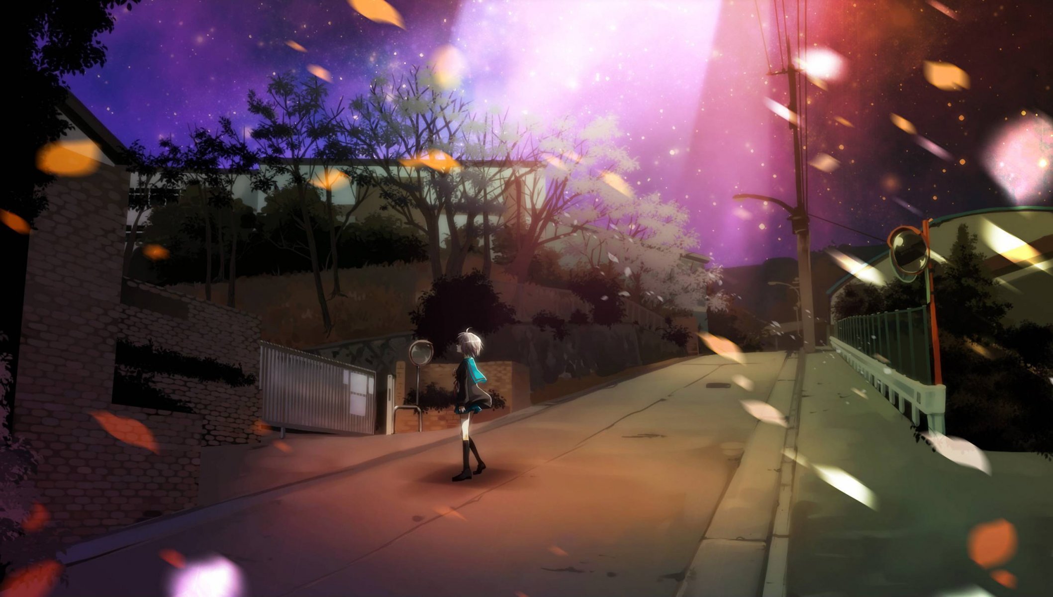 nagato yuki suzumiya haruhi no yuuutsu calle hojas noche carretera estrellas cielo