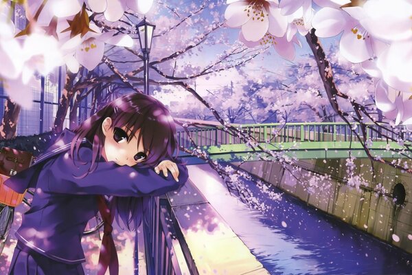 A girl in purple on a background of cherry blossoms