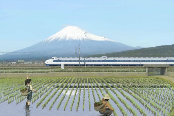 Pole ryżowe na tle góry i pociągu kolejowego