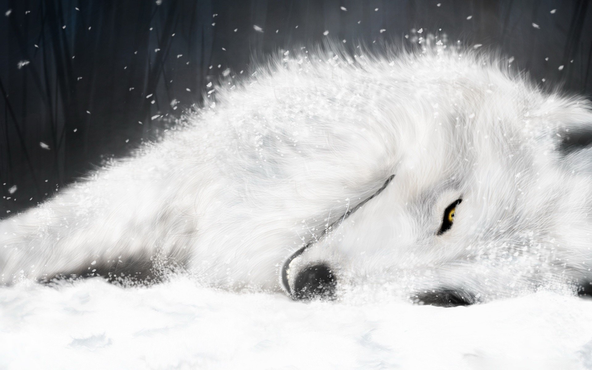 белый рисунок волк wolfs rain киба supermonchi