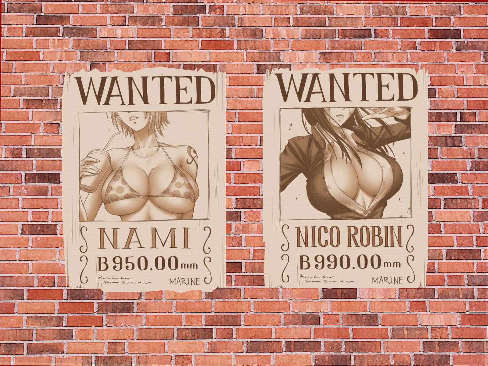 one-piece wanted nami nico wall